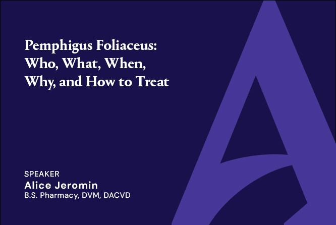 Pemphigus Foliaceus: Who, What, When, Why, and How to Treat