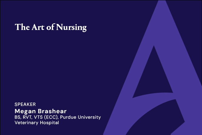 The Art of Nursing