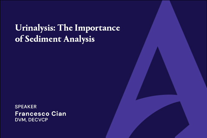 Urinalysis: The Importance of Sediment Analysis