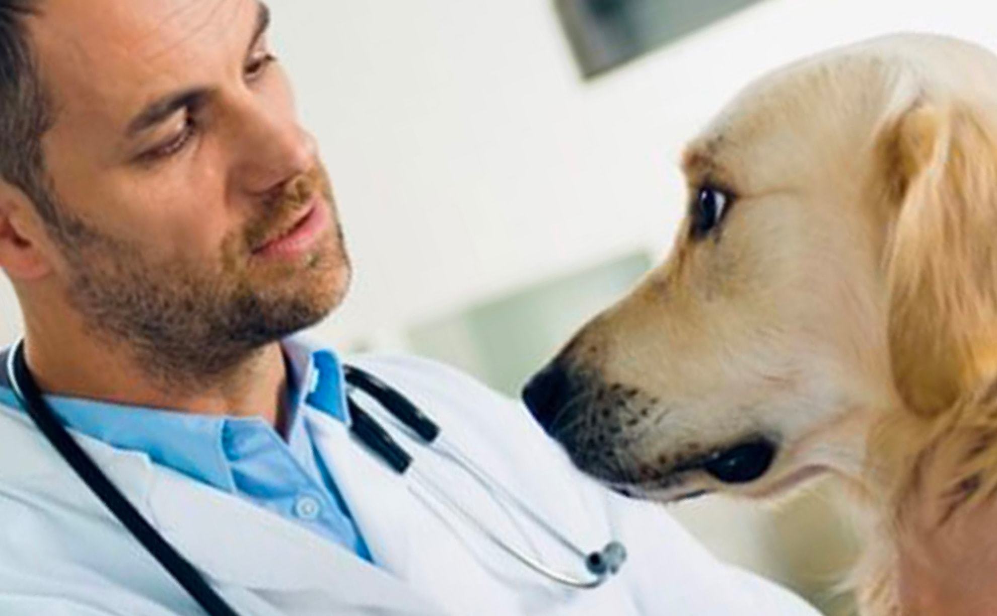 Antech Diagnostics acquires leading Canadian animal reference laboratory, Biovet