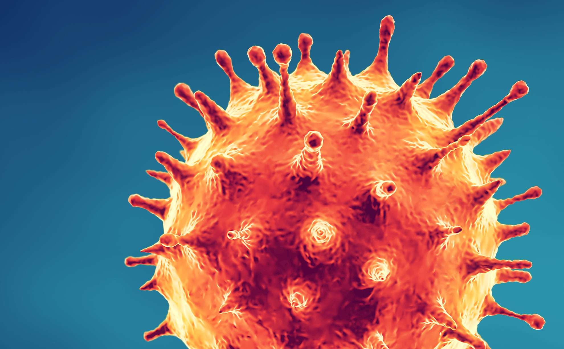 Antech aligns with global health organizations on COVID-19 in cats and dogs: No virus detected
