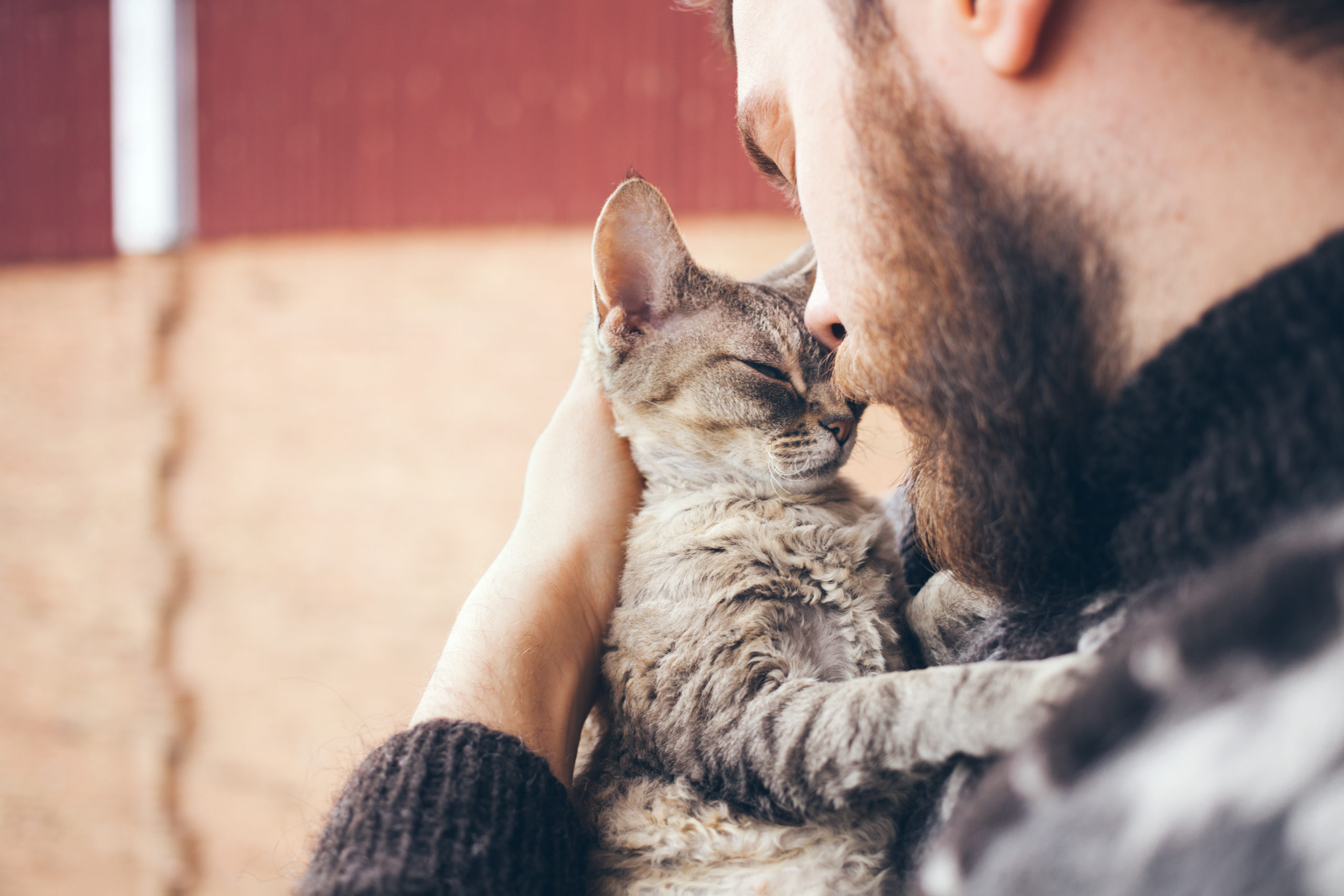 Antech expands feline renal health portfolio with Antech SDMA™