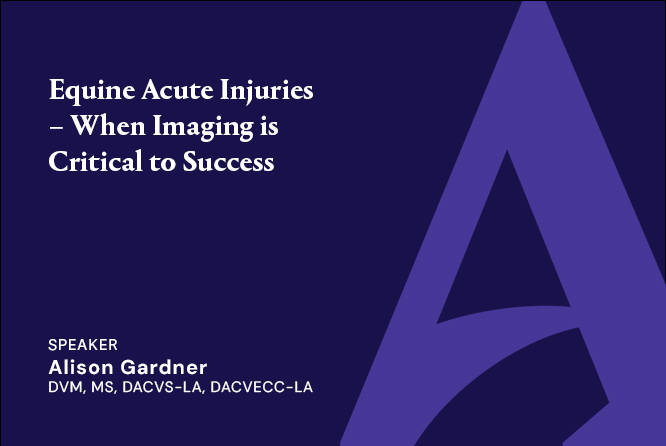 Equine Acute Injuries: When Imaging is Critical to Success