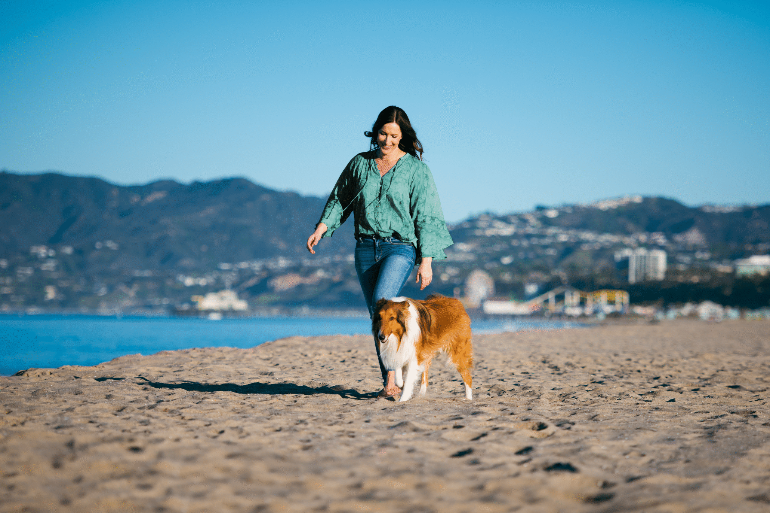 Mental Health in Veterinary Medicine Part Six: Creating a Culture of Wellbeing and Becoming an Agent of Change with Dr. Jen Brandt