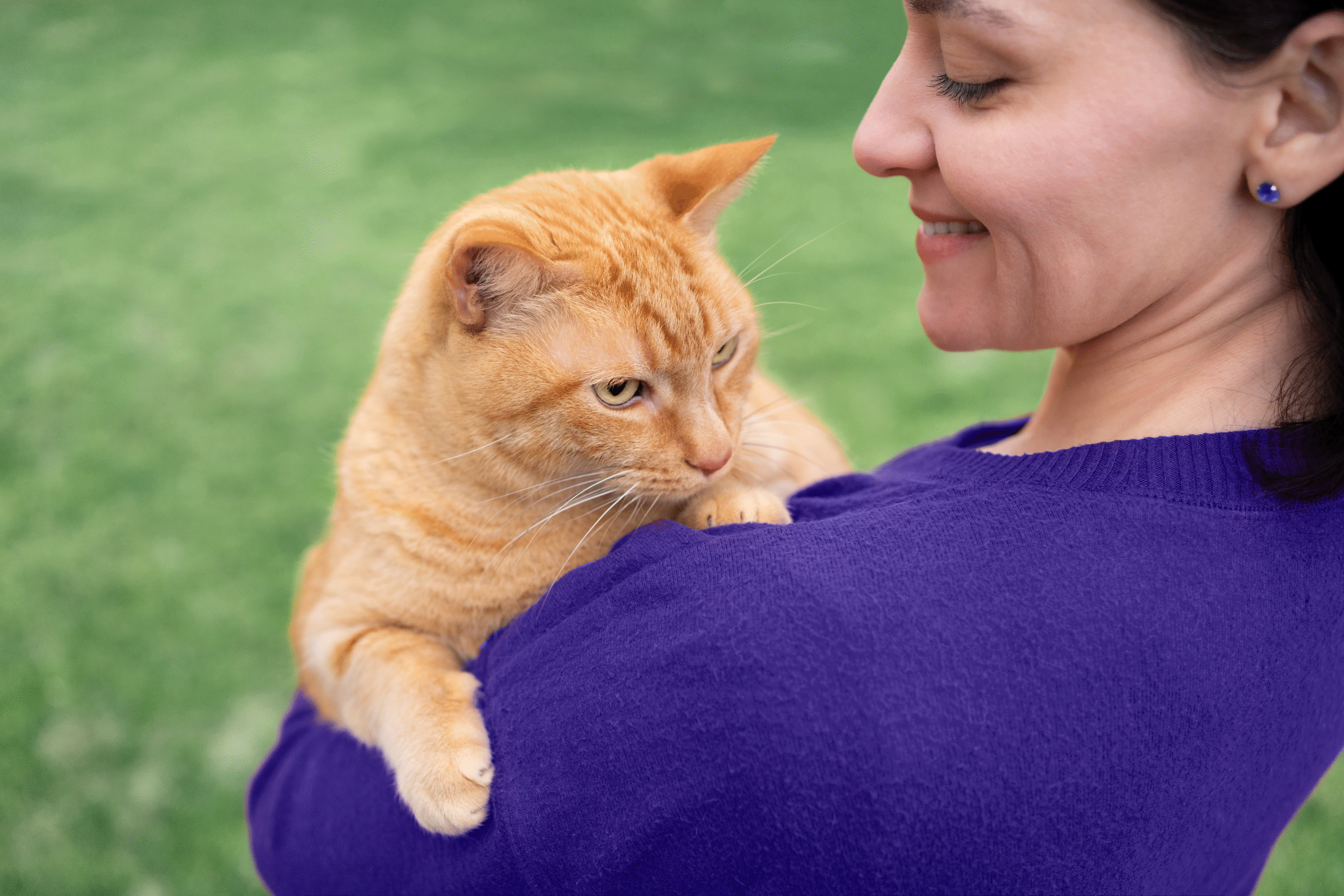 Mental Health in Veterinary Medicine Part Five: Creating a Culture of Wellbeing with Dr. Jen Brandt