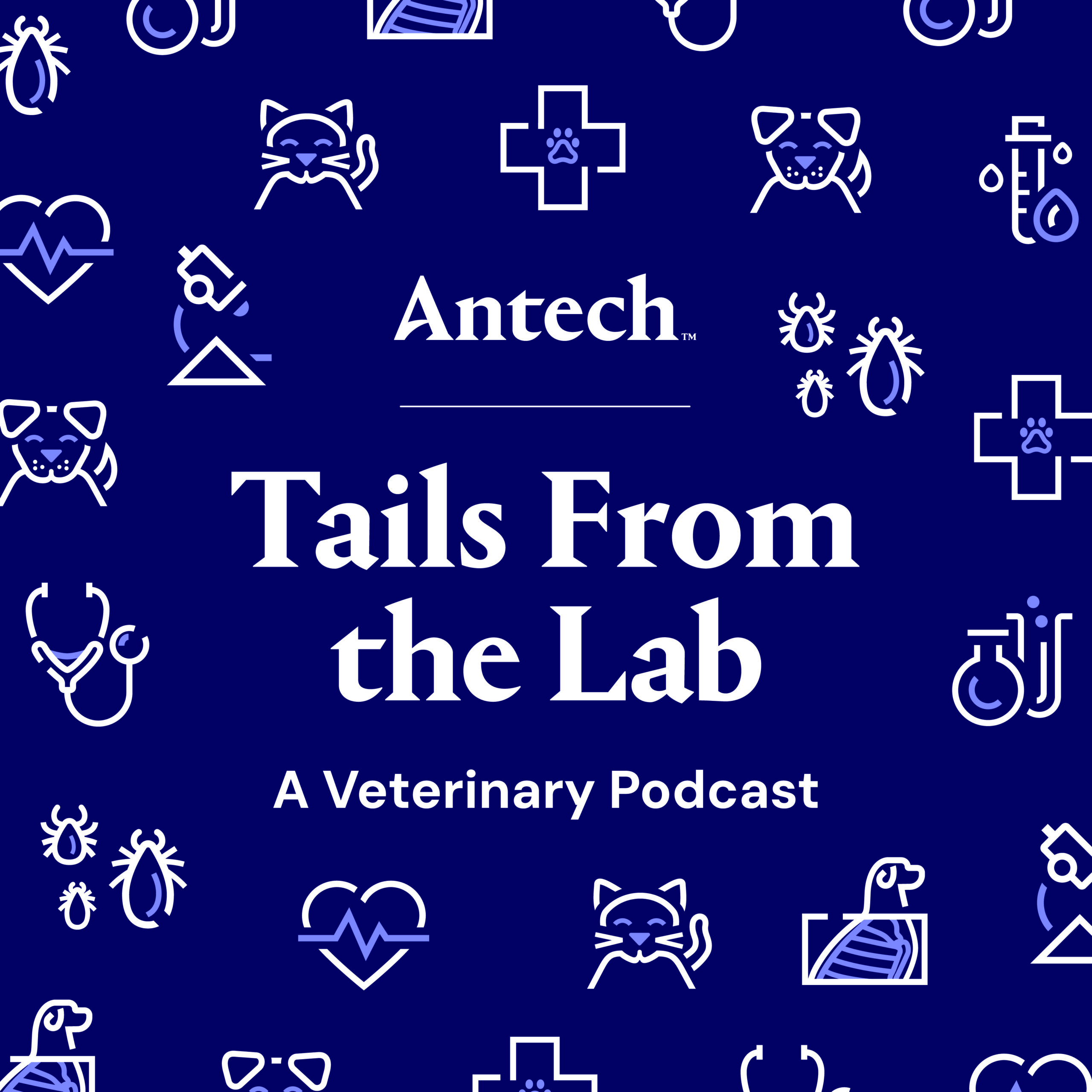 Mental Health in Veterinary Medicine Part Four: Self-Compassion and Perfectionism with Dr. Jen Brandt