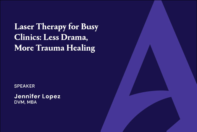 Laser Therapy for Busy Clinics: Less Drama, More Trauma Healing
