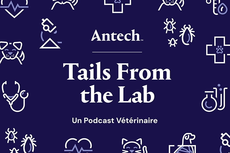 Mental Health in Veterinary Medicine Part Four: Self-Compassion and Perfectionism with Dr. Jen Brandt